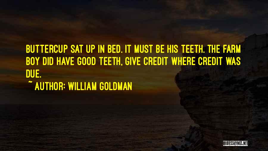 William Goldman Quotes: Buttercup Sat Up In Bed. It Must Be His Teeth. The Farm Boy Did Have Good Teeth, Give Credit Where