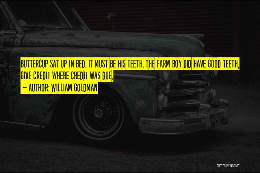 William Goldman Quotes: Buttercup Sat Up In Bed. It Must Be His Teeth. The Farm Boy Did Have Good Teeth, Give Credit Where