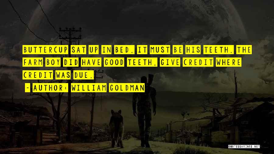 William Goldman Quotes: Buttercup Sat Up In Bed. It Must Be His Teeth. The Farm Boy Did Have Good Teeth, Give Credit Where