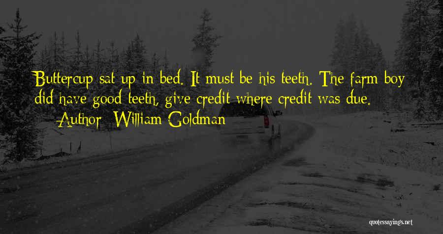 William Goldman Quotes: Buttercup Sat Up In Bed. It Must Be His Teeth. The Farm Boy Did Have Good Teeth, Give Credit Where