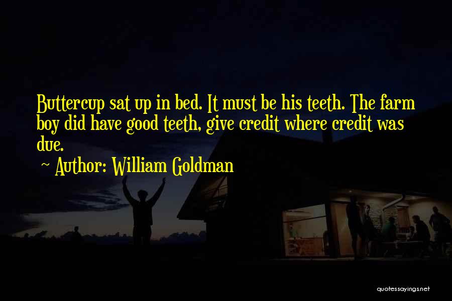 William Goldman Quotes: Buttercup Sat Up In Bed. It Must Be His Teeth. The Farm Boy Did Have Good Teeth, Give Credit Where