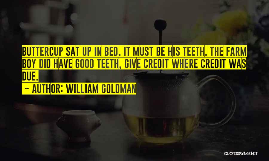 William Goldman Quotes: Buttercup Sat Up In Bed. It Must Be His Teeth. The Farm Boy Did Have Good Teeth, Give Credit Where