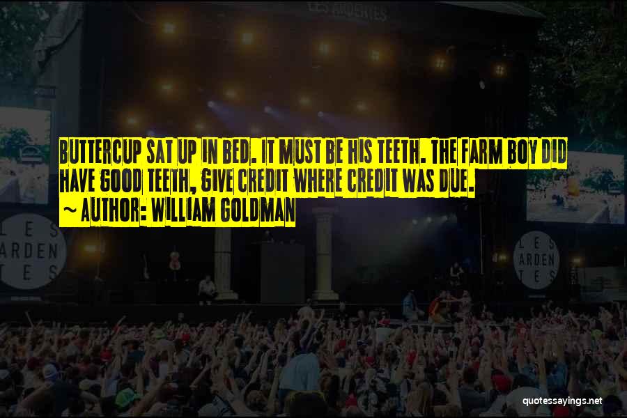 William Goldman Quotes: Buttercup Sat Up In Bed. It Must Be His Teeth. The Farm Boy Did Have Good Teeth, Give Credit Where
