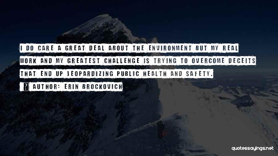 Erin Brockovich Quotes: I Do Care A Great Deal About The Environment But My Real Work And My Greatest Challenge Is Trying To