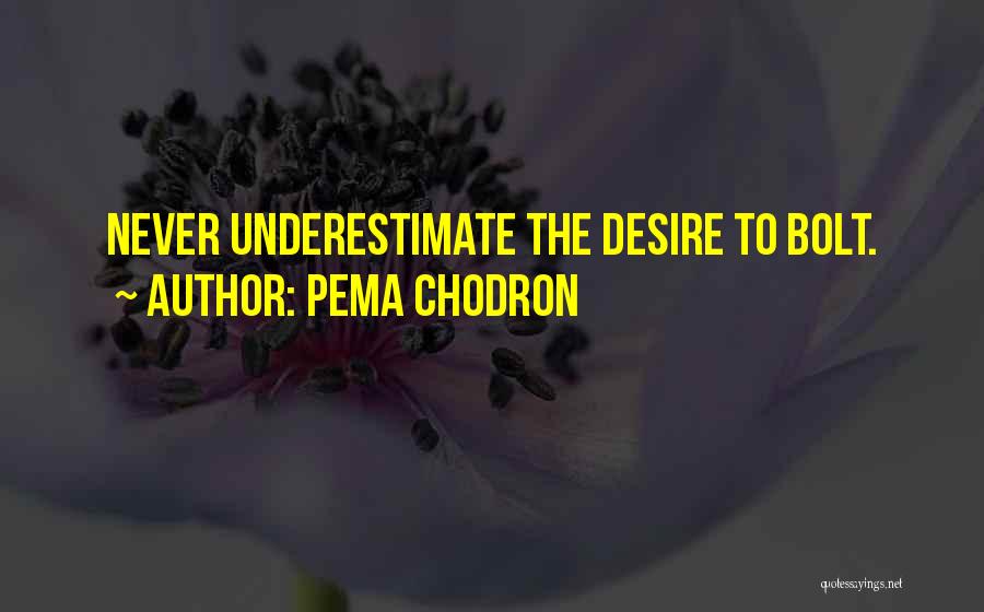 Pema Chodron Quotes: Never Underestimate The Desire To Bolt.
