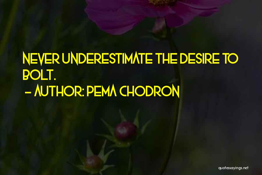 Pema Chodron Quotes: Never Underestimate The Desire To Bolt.