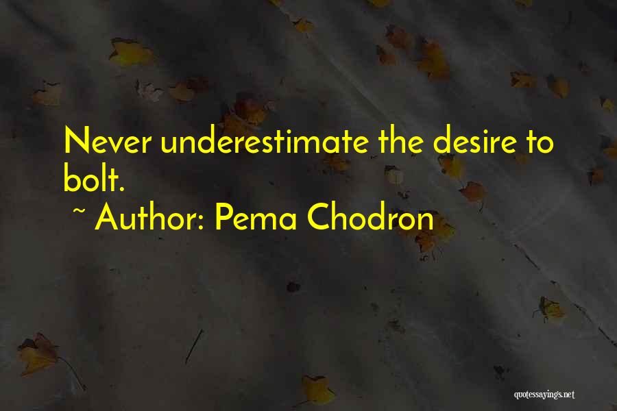Pema Chodron Quotes: Never Underestimate The Desire To Bolt.
