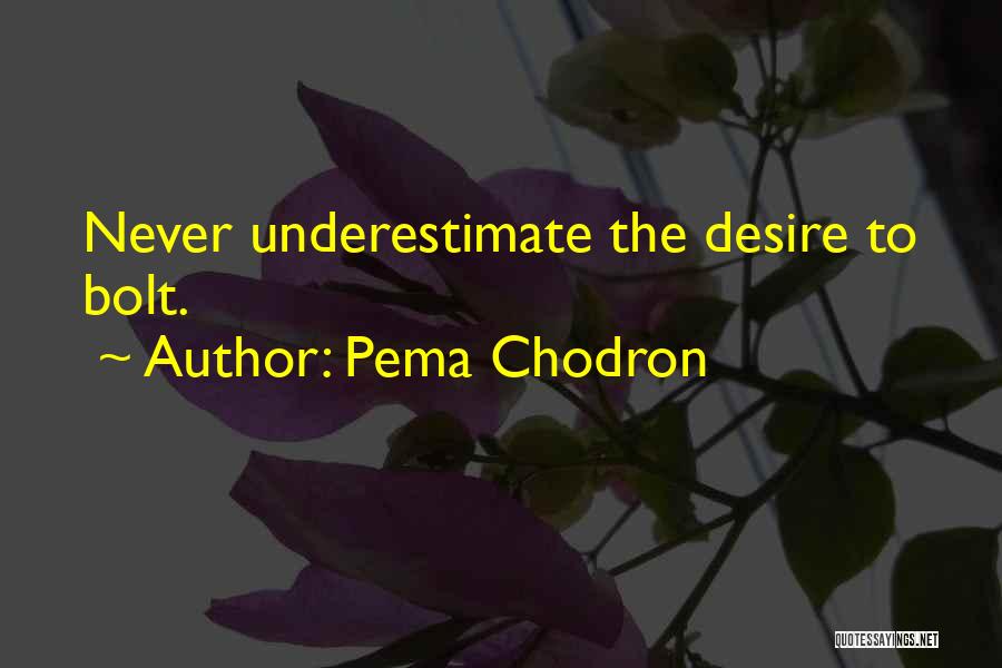 Pema Chodron Quotes: Never Underestimate The Desire To Bolt.