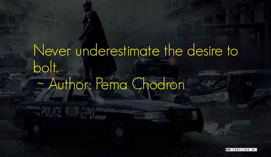 Pema Chodron Quotes: Never Underestimate The Desire To Bolt.