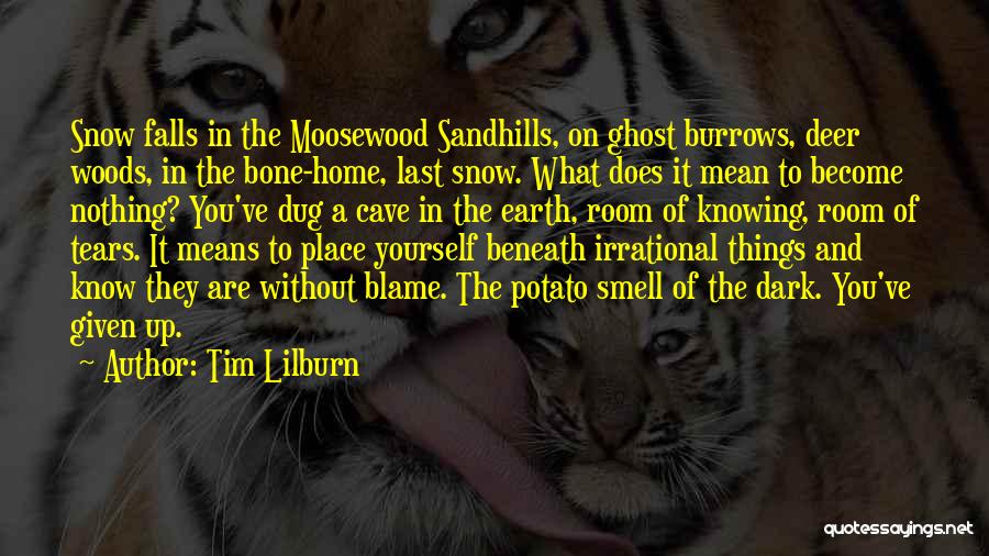 Tim Lilburn Quotes: Snow Falls In The Moosewood Sandhills, On Ghost Burrows, Deer Woods, In The Bone-home, Last Snow. What Does It Mean