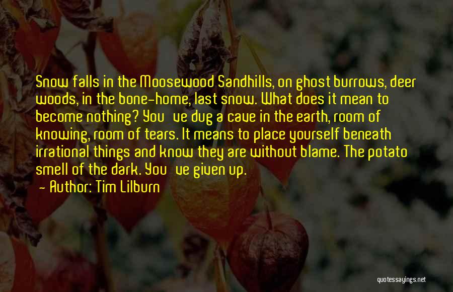 Tim Lilburn Quotes: Snow Falls In The Moosewood Sandhills, On Ghost Burrows, Deer Woods, In The Bone-home, Last Snow. What Does It Mean