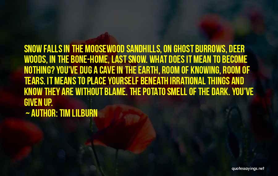 Tim Lilburn Quotes: Snow Falls In The Moosewood Sandhills, On Ghost Burrows, Deer Woods, In The Bone-home, Last Snow. What Does It Mean