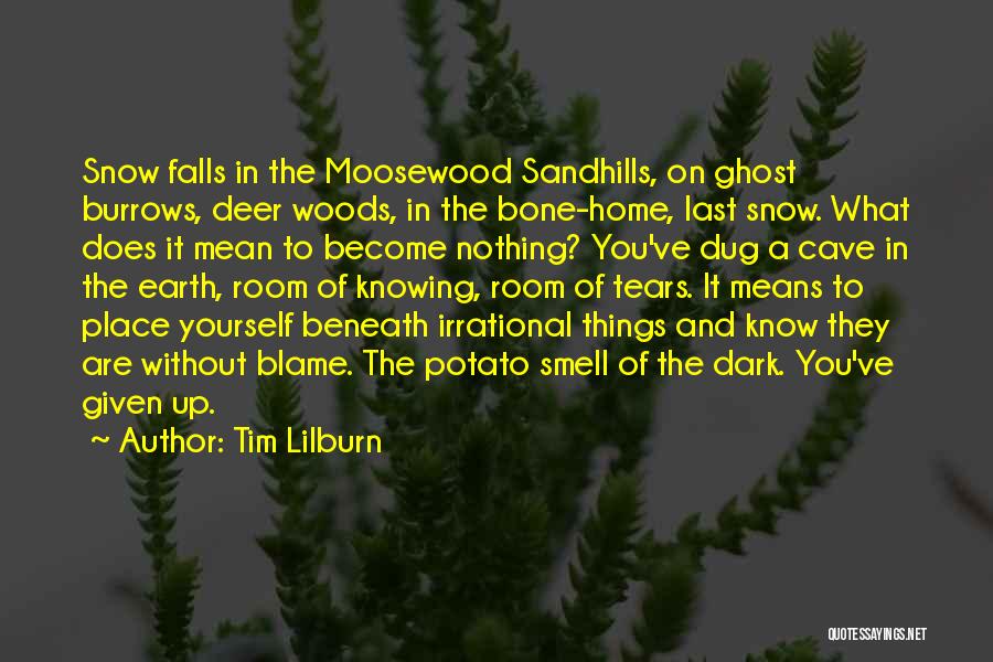 Tim Lilburn Quotes: Snow Falls In The Moosewood Sandhills, On Ghost Burrows, Deer Woods, In The Bone-home, Last Snow. What Does It Mean