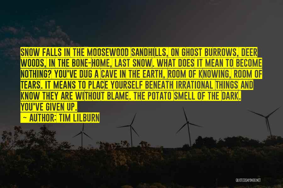 Tim Lilburn Quotes: Snow Falls In The Moosewood Sandhills, On Ghost Burrows, Deer Woods, In The Bone-home, Last Snow. What Does It Mean