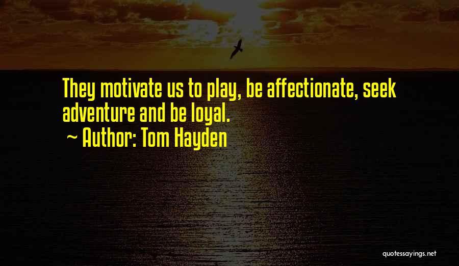 Tom Hayden Quotes: They Motivate Us To Play, Be Affectionate, Seek Adventure And Be Loyal.