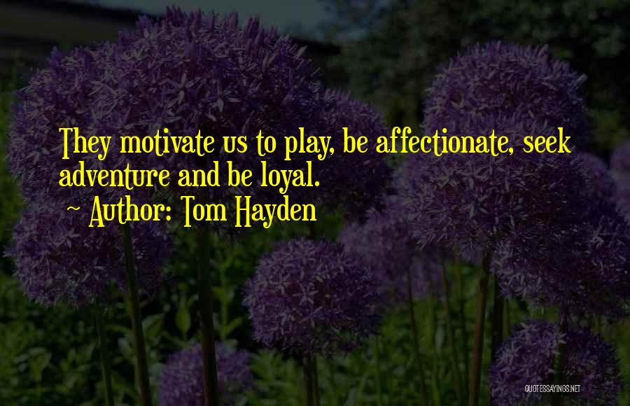Tom Hayden Quotes: They Motivate Us To Play, Be Affectionate, Seek Adventure And Be Loyal.