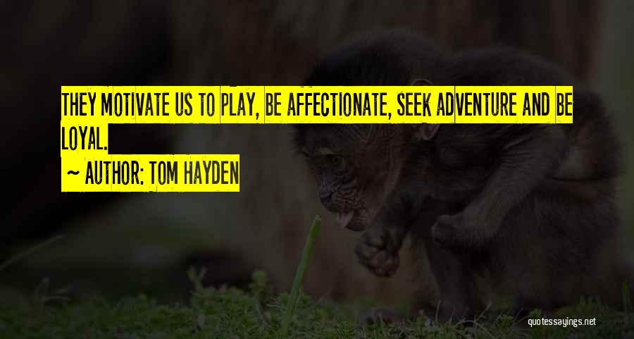 Tom Hayden Quotes: They Motivate Us To Play, Be Affectionate, Seek Adventure And Be Loyal.