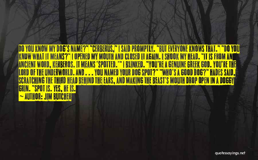 Jim Butcher Quotes: Do You Know My Dog's Name? Cerberus, I Said Promptly. But Everyone Knows That. Do You Know What It Means?