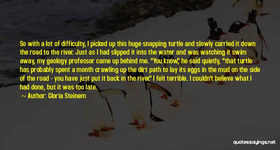 Gloria Steinem Quotes: So With A Lot Of Difficulty, I Picked Up This Huge Snapping Turtle And Slowly Carried It Down The Road