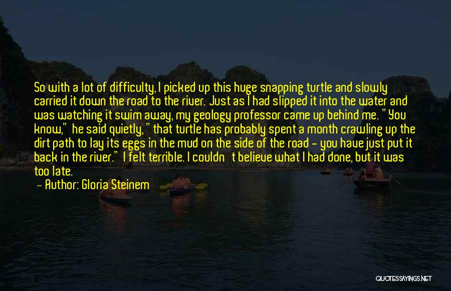 Gloria Steinem Quotes: So With A Lot Of Difficulty, I Picked Up This Huge Snapping Turtle And Slowly Carried It Down The Road