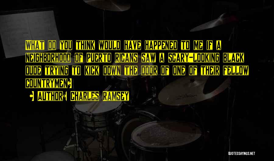 Charles Ramsey Quotes: What Do You Think Would Have Happened To Me If A Neighborhood Of Puerto Ricans Saw A Scary-looking Black Dude
