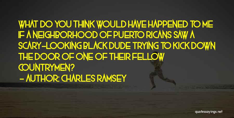 Charles Ramsey Quotes: What Do You Think Would Have Happened To Me If A Neighborhood Of Puerto Ricans Saw A Scary-looking Black Dude