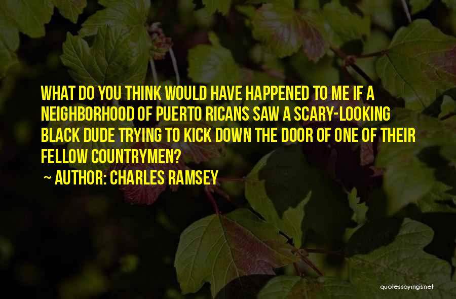 Charles Ramsey Quotes: What Do You Think Would Have Happened To Me If A Neighborhood Of Puerto Ricans Saw A Scary-looking Black Dude