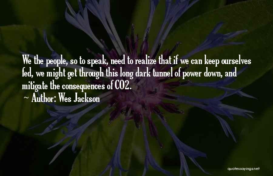 Wes Jackson Quotes: We The People, So To Speak, Need To Realize That If We Can Keep Ourselves Fed, We Might Get Through