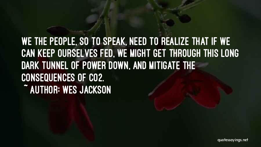 Wes Jackson Quotes: We The People, So To Speak, Need To Realize That If We Can Keep Ourselves Fed, We Might Get Through