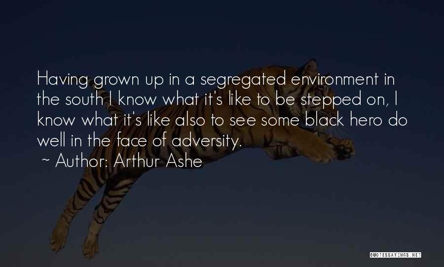 Arthur Ashe Quotes: Having Grown Up In A Segregated Environment In The South I Know What It's Like To Be Stepped On, I