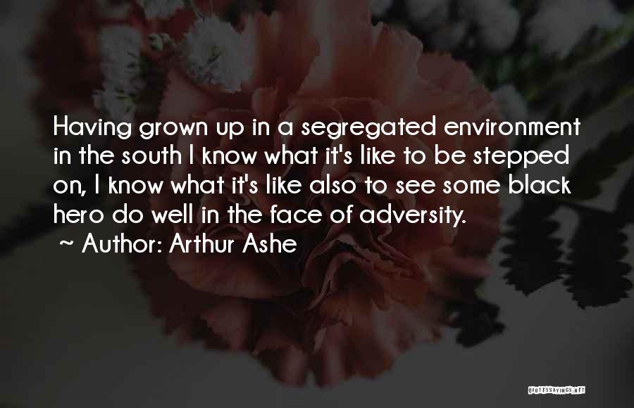Arthur Ashe Quotes: Having Grown Up In A Segregated Environment In The South I Know What It's Like To Be Stepped On, I