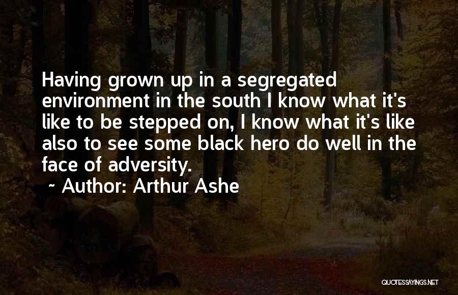 Arthur Ashe Quotes: Having Grown Up In A Segregated Environment In The South I Know What It's Like To Be Stepped On, I