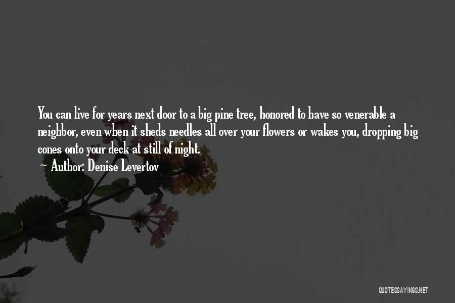 Denise Levertov Quotes: You Can Live For Years Next Door To A Big Pine Tree, Honored To Have So Venerable A Neighbor, Even