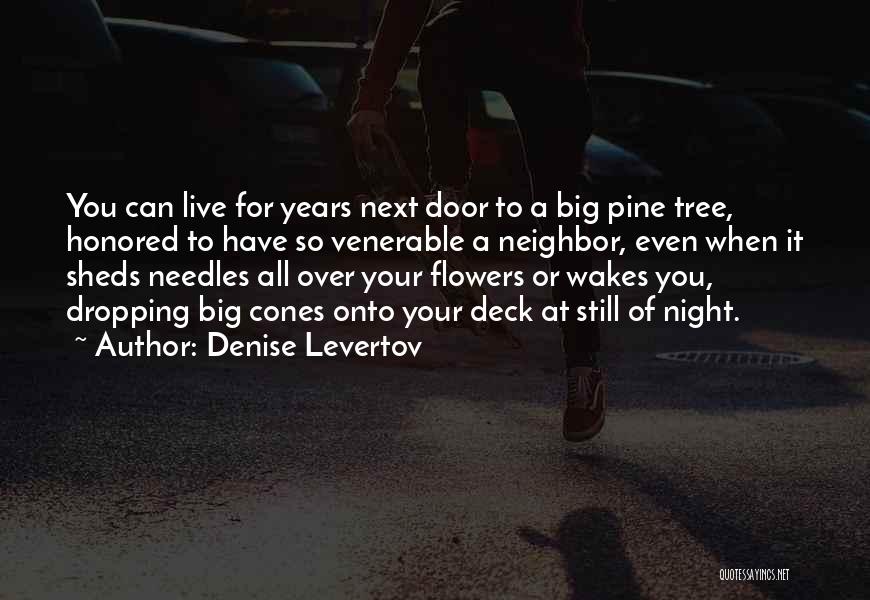 Denise Levertov Quotes: You Can Live For Years Next Door To A Big Pine Tree, Honored To Have So Venerable A Neighbor, Even