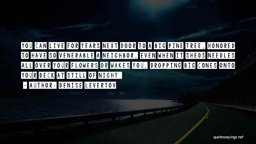 Denise Levertov Quotes: You Can Live For Years Next Door To A Big Pine Tree, Honored To Have So Venerable A Neighbor, Even