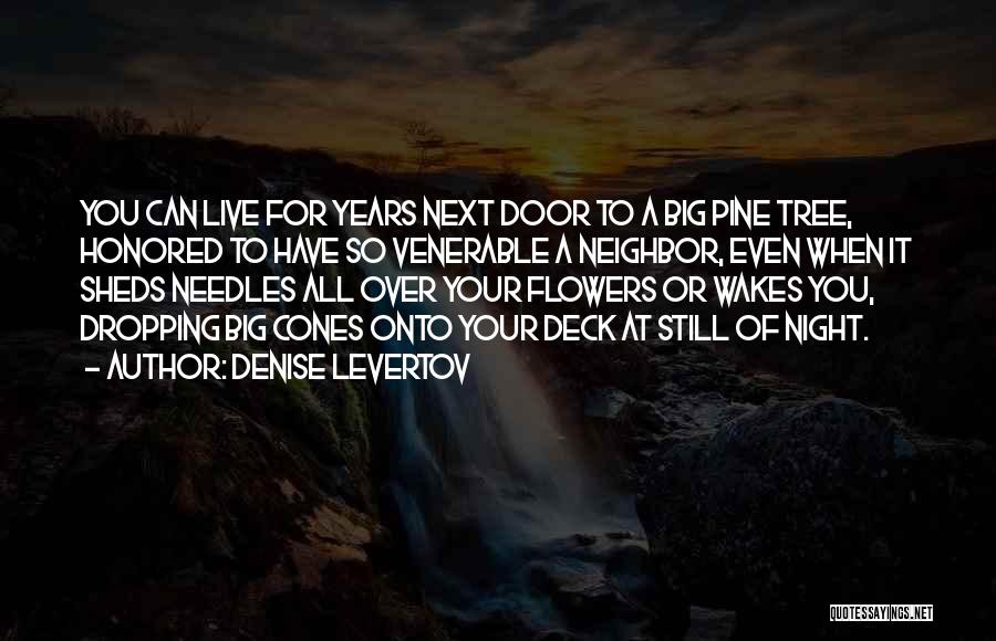 Denise Levertov Quotes: You Can Live For Years Next Door To A Big Pine Tree, Honored To Have So Venerable A Neighbor, Even