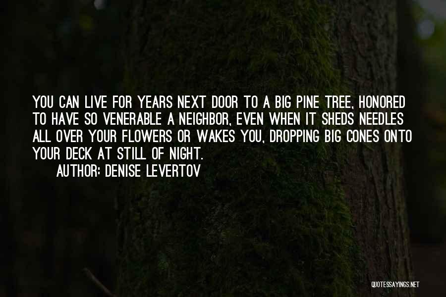 Denise Levertov Quotes: You Can Live For Years Next Door To A Big Pine Tree, Honored To Have So Venerable A Neighbor, Even