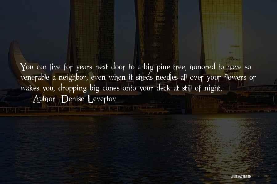 Denise Levertov Quotes: You Can Live For Years Next Door To A Big Pine Tree, Honored To Have So Venerable A Neighbor, Even