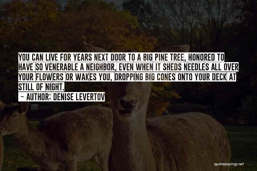 Denise Levertov Quotes: You Can Live For Years Next Door To A Big Pine Tree, Honored To Have So Venerable A Neighbor, Even