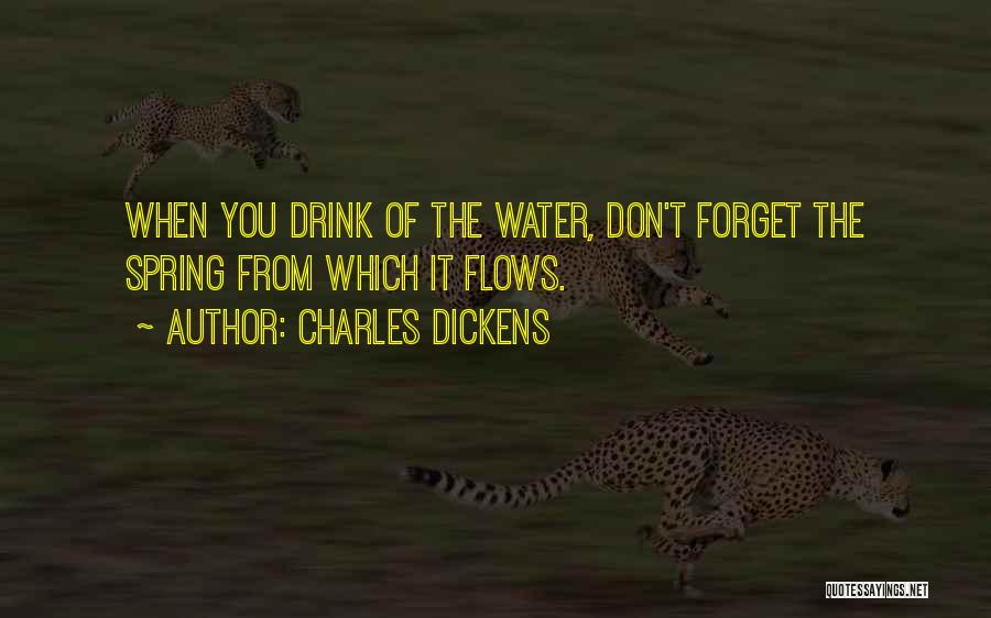 Charles Dickens Quotes: When You Drink Of The Water, Don't Forget The Spring From Which It Flows.