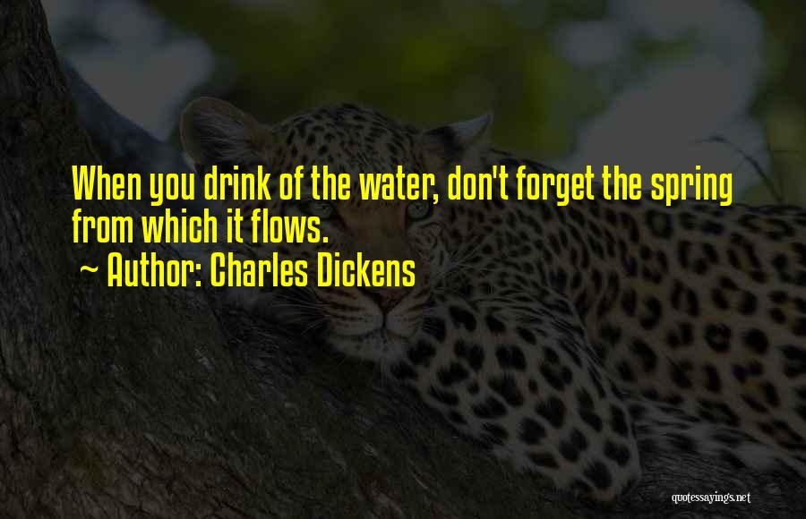 Charles Dickens Quotes: When You Drink Of The Water, Don't Forget The Spring From Which It Flows.