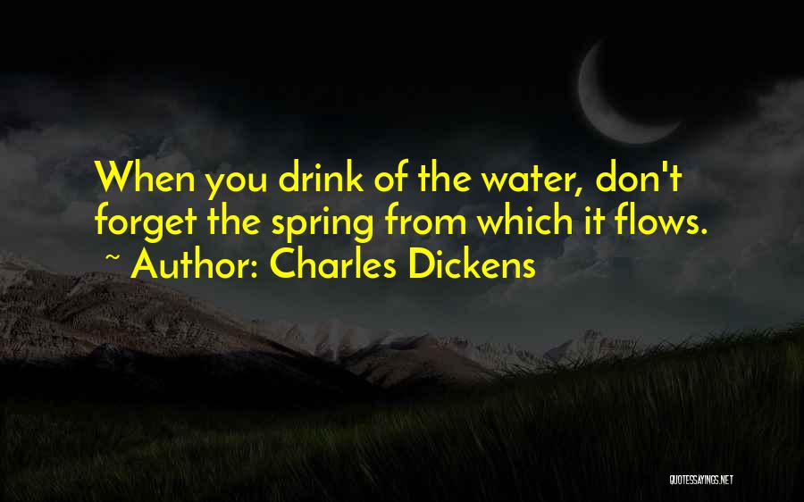 Charles Dickens Quotes: When You Drink Of The Water, Don't Forget The Spring From Which It Flows.