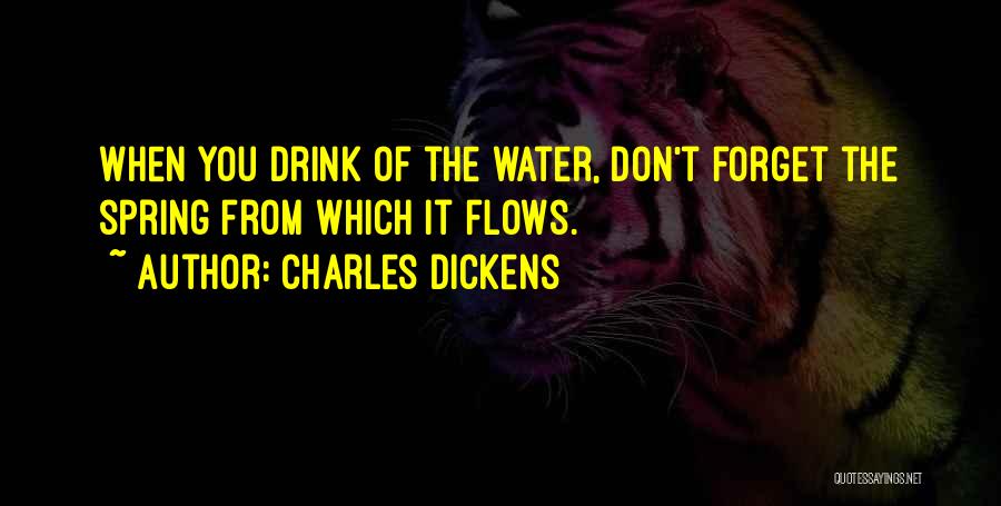 Charles Dickens Quotes: When You Drink Of The Water, Don't Forget The Spring From Which It Flows.