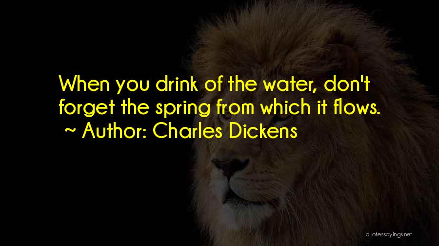 Charles Dickens Quotes: When You Drink Of The Water, Don't Forget The Spring From Which It Flows.