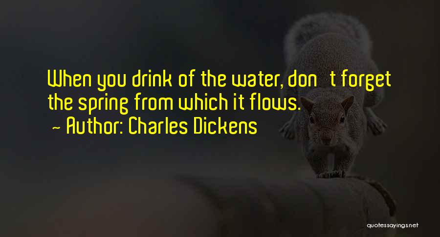 Charles Dickens Quotes: When You Drink Of The Water, Don't Forget The Spring From Which It Flows.