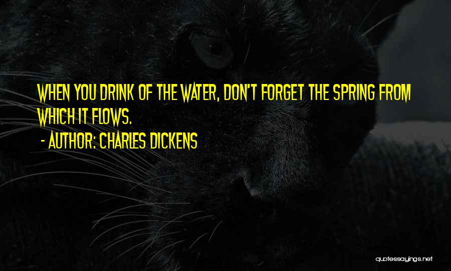 Charles Dickens Quotes: When You Drink Of The Water, Don't Forget The Spring From Which It Flows.