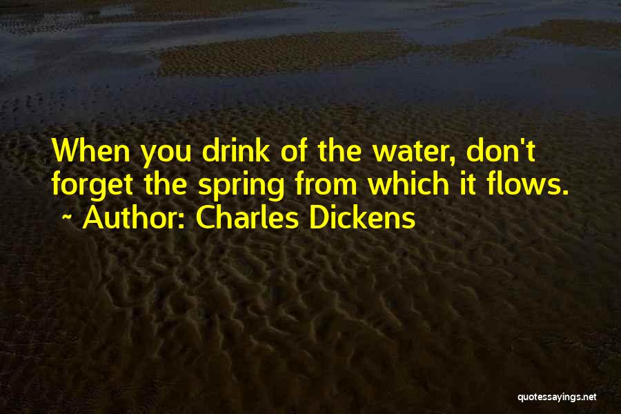 Charles Dickens Quotes: When You Drink Of The Water, Don't Forget The Spring From Which It Flows.