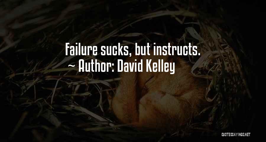 David Kelley Quotes: Failure Sucks, But Instructs.