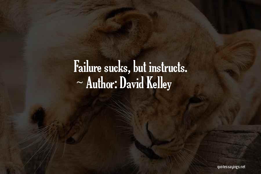 David Kelley Quotes: Failure Sucks, But Instructs.