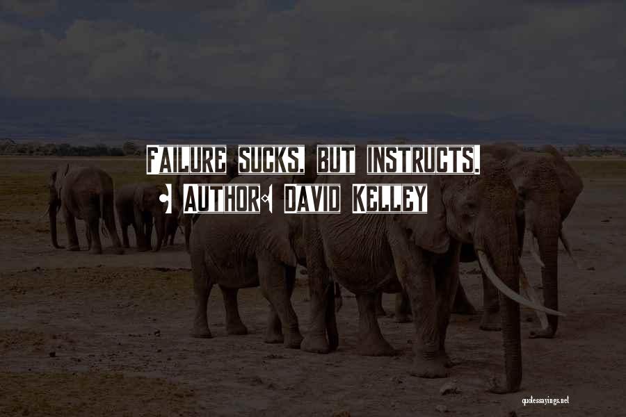 David Kelley Quotes: Failure Sucks, But Instructs.